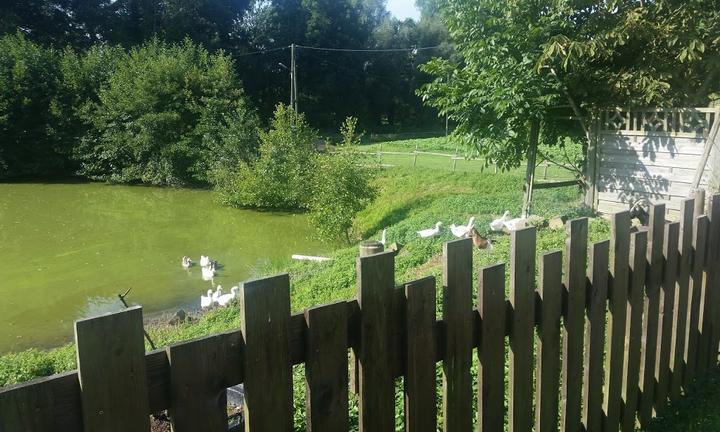 Bauerngarten Benninghoven